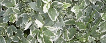 gara-2019-01-29-Noticia