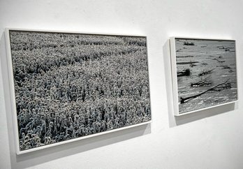 gara-2019-01-29-Noticia