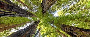 gara-2019-02-04-Noticia