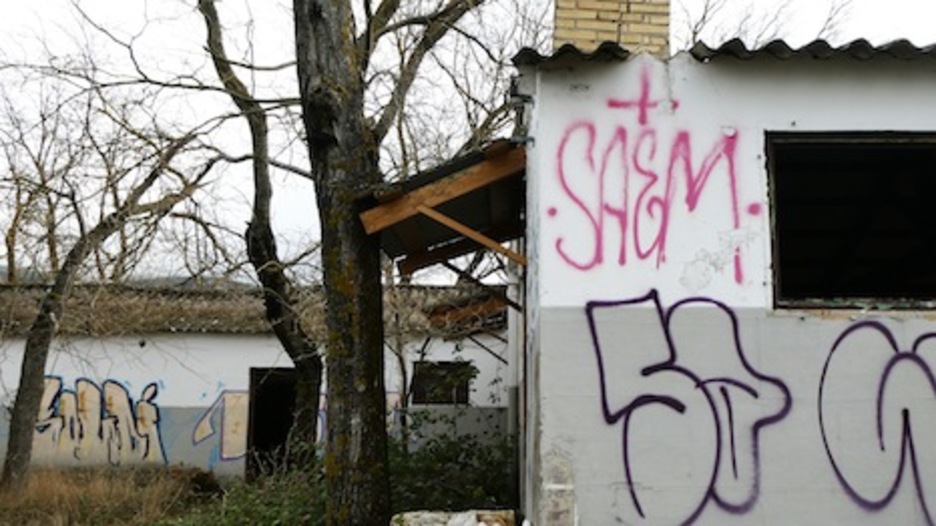 Un árbol ha crecido delante de la entrada de unos de los barracones. (Iñaki VIGOR)