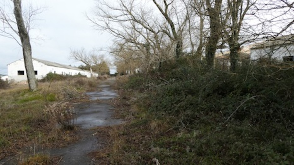 La maleza se ha adueñado de algunas zonas. (Iñaki VIGOR)