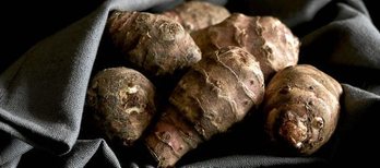 gara-2019-02-11-Noticia