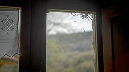 gara-2019-02-11-Noticia