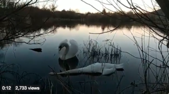 Beltxarga azken agurra eskainiz.