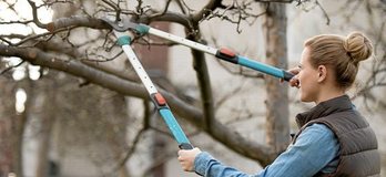 gara-2019-02-18-Noticia