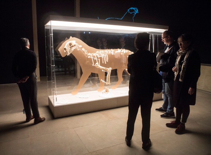 Arrikrutzeko lehoiaren hezurdura ikaragarria, Donostian ikusgai izan zenean. Jon URBE / FOKU