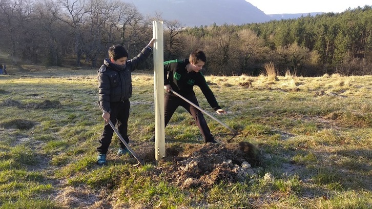 Inigo Aritza ikastolako bi haur Oinez Basoan zuhaitz bat landatzen.