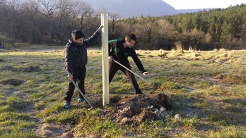 Haritza Ikastolako bi haur Oinez Basoan zuhaitz bat landatzen.