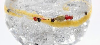 gara-2019-02-25-Noticia