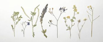 gara-2019-02-25-Noticia