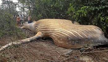 gara-2019-02-27-Noticia