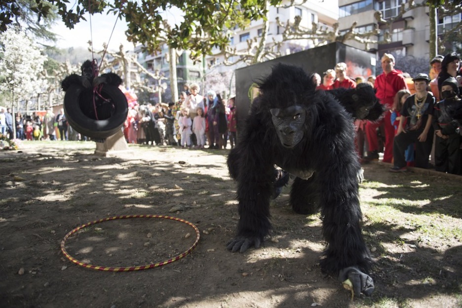 Etxeko txikienak aho bete hortz geratu dira zuhaitzetatik saltoka azaldu zaien gorilarekin. Juan Carlos RUIZ/FOKU