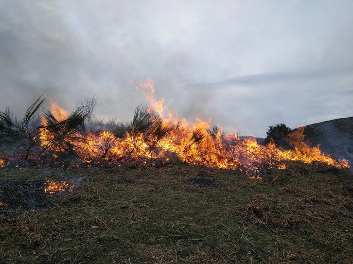 El fuego de Garaioa que ha necesitado de intervención. (@bbffnavarra)