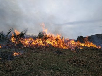 El fuego de Garaioa que ha necesitado de intervención. (@bbffnavarra)