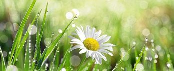 gara-2019-03-05-Noticia