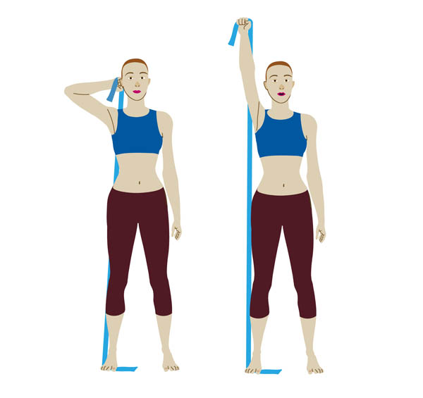 Injerto Caducado jaula biceps y triceps con banda elastica ego