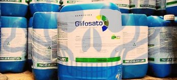 gara-2019-03-19-Reportaje