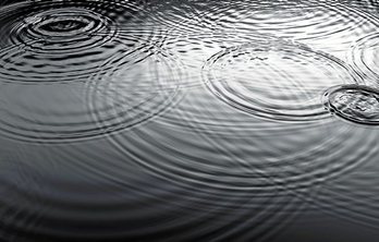 gara-2019-03-25-Noticia