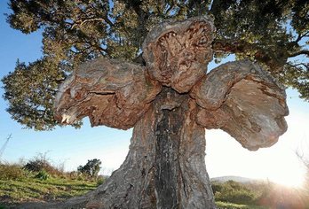 gara-2019-03-25-Noticia