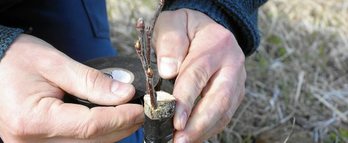 gara-2019-03-25-Noticia