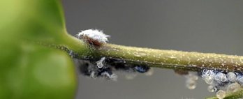 gara-2019-04-01-Noticia