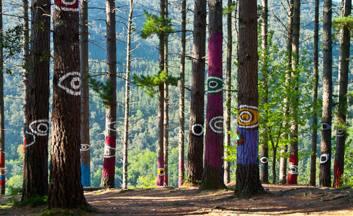 Árboles pintados en el bosque de Oma. (www.bosquedeoma.com)