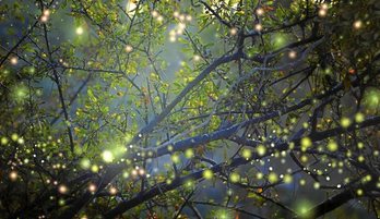 gara-2019-04-09-Noticia