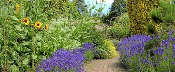 gara-2019-04-09-Noticia