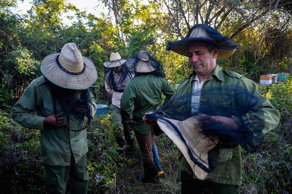 Poniéndose los trajes protectores antes de la tarea. Foto: Yamil LAGE | AFP