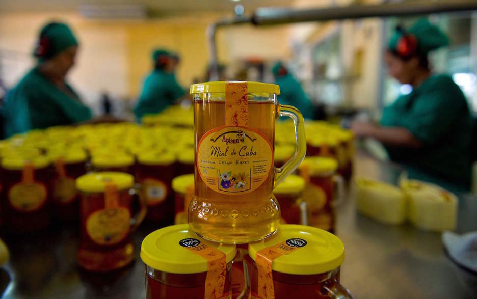 El resultado final: la miel. (Yamil LAGE/AFP)