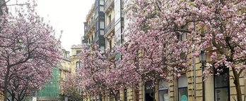 gara-2019-04-15-Noticia