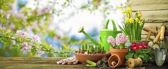 gara-2019-04-23-Noticia