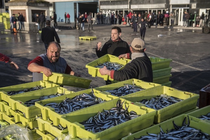 Iazko antxoaren kanpainako irudia, Ondarroako portuan. (Gorka RUBIO / FOKU