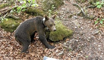 gara-2019-05-09-Reportaje