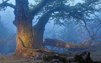 gara-2019-05-13-Reportaje