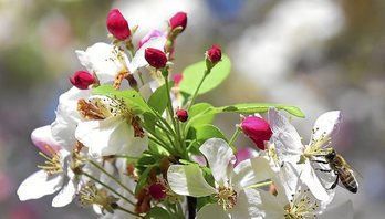 gara-2019-05-20-Noticia