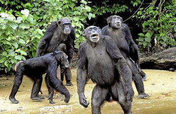 gara-2019-05-23-Opinión