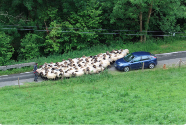 Imagen compartida en Twitter