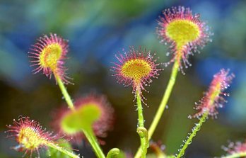 gara-2019-05-27-Reportaje