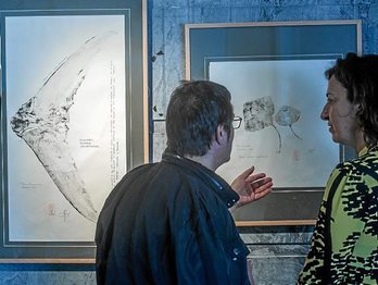 gara-2019-06-17-Noticia