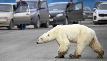 gara-2019-06-19-Noticia