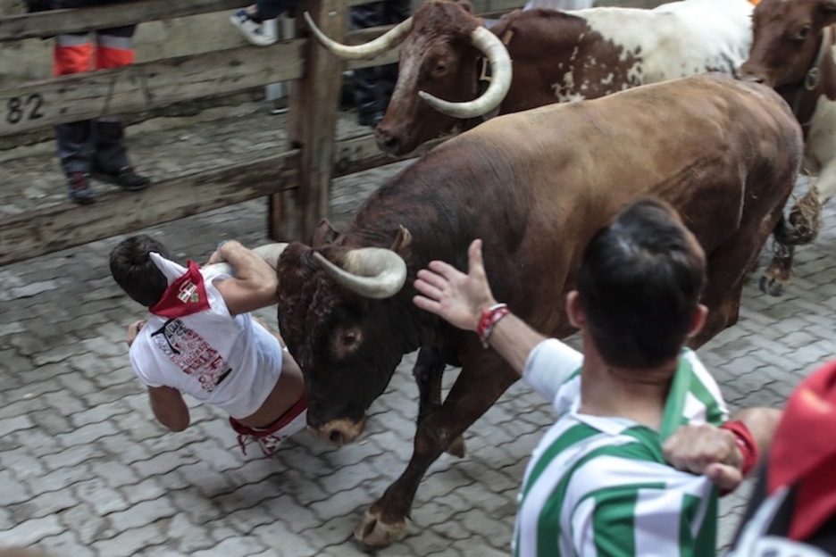 El lapurtarra terminó asido al cuerno para evitar la cornada. (Joxe ZABALZA | FOKU) El lapurtarra terminó asido al cuerno para evitar la cornada. (Joxe ZABALZA | FOKU)
