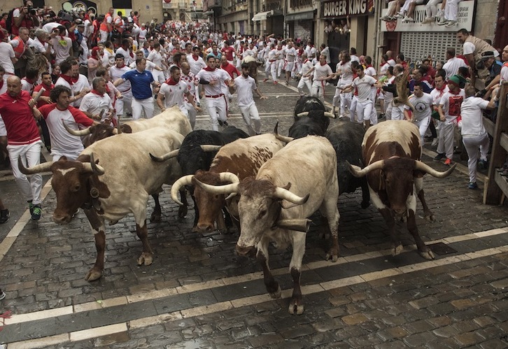 Los toros casi ni se ven entre los cabestros en la entrada a la curva de Estafeta el pasado año. (Idoia ZABALETA | FOKU)