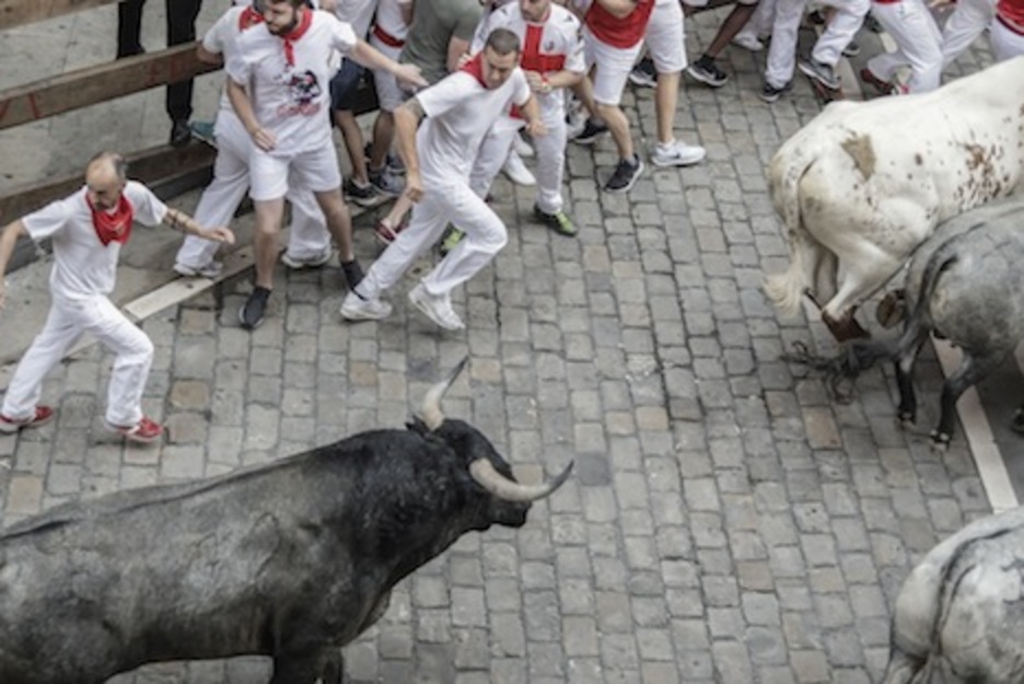 El toro Salada accede a la plaza Consistorial en la parte final de la manada. (Joseba ZABALZA/FOKU) El toro Salada accede a la plaza Consistorial en la parte final de la manada. (Joseba ZABALZA/FOKU)