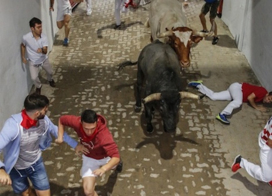 Un mozo yace en el suelo al paso de un toro y un manso. (Iñaki VERGARA/FOKU) Un mozo yace en el suelo al paso de un toro y un manso. (Iñaki VERGARA/FOKU)