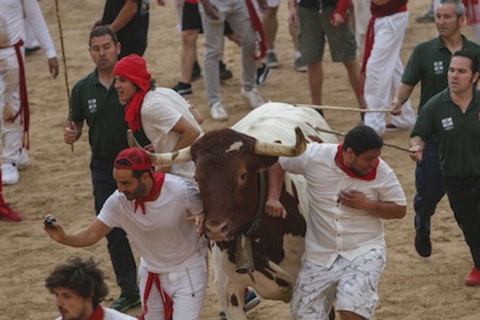 Selfie con el manso que busca a la vaca para llevarla a corrales. (Iñaki VERGARA/FOKU)