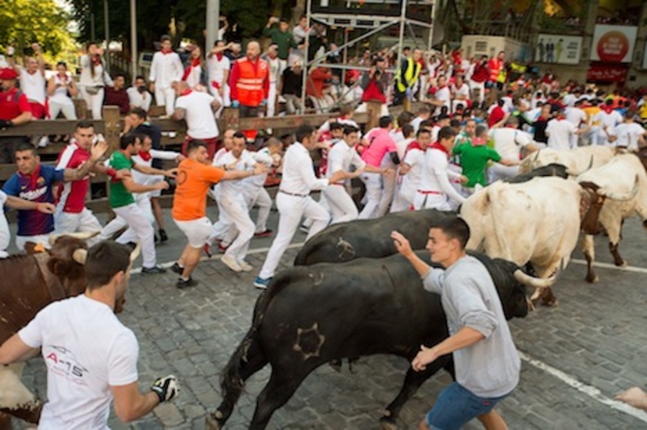 Dos jandillas pasan por Telefónica entre mansos. (Iñigo URIZ/FOKU) Dos jandillas pasan por Telefónica entre mansos. (Iñigo URIZ/FOKU)
