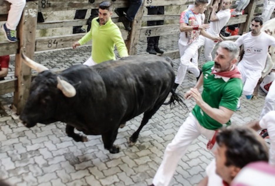 Un jandilla al galope pasa entre los corredores en el callejón. (Joseba ZABALZA/FOKU) Un jandilla al galope pasa entre los corredores en el callejón. (Joseba ZABALZA/FOKU)