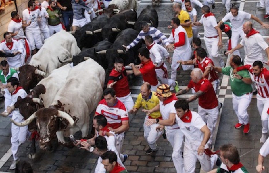 Los mansos dirigen una compacta torada. (Iñaki VERGARA/FOKU) Los mansos dirigen una compacta torada. (Iñaki VERGARA/FOKU)