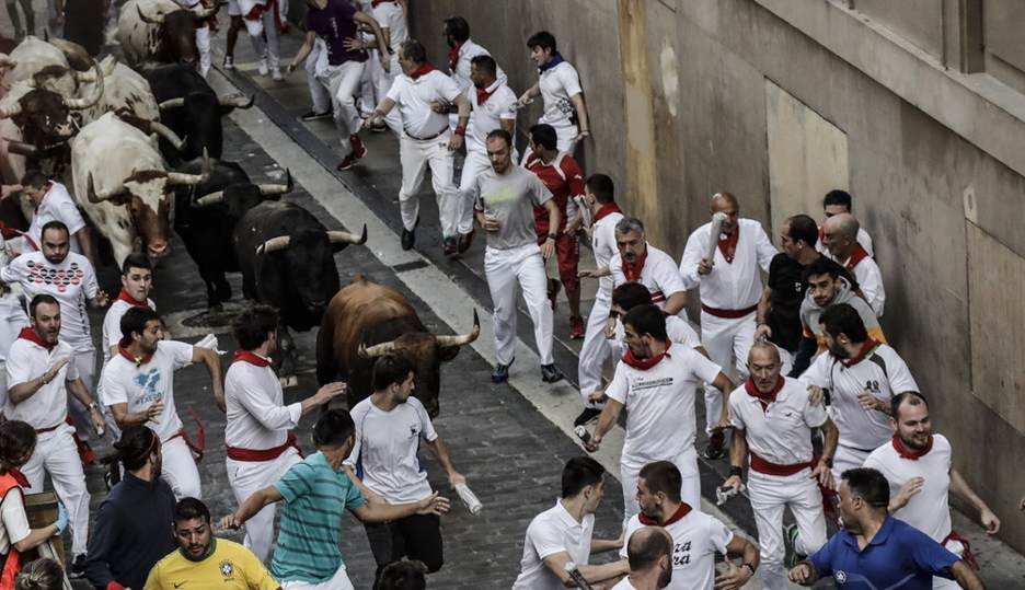 Los toros han encabezado la manada de La Palmosilla. (Joseba ZABALZA / FOKU)